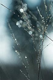 《乐高星球大战：天行者传奇》奖杯曝光 4月6日发售