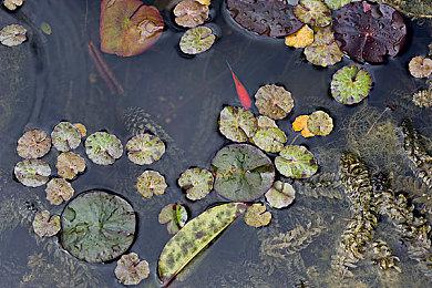 3DM速报：《战地》系列大乱斗“门户” 《死亡空间》初代确认重制